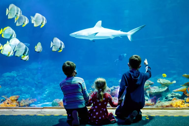 Family visit to the aquarium scaled